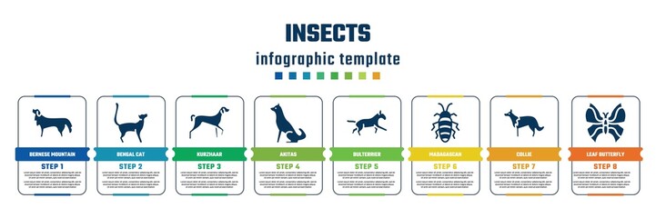 insects concept infographic design template. included bernese mountain dog, bengal cat, kurzhaar, akitas, bulterrier, madagascan, collie, leaf butterfly icons and 8 steps or options.