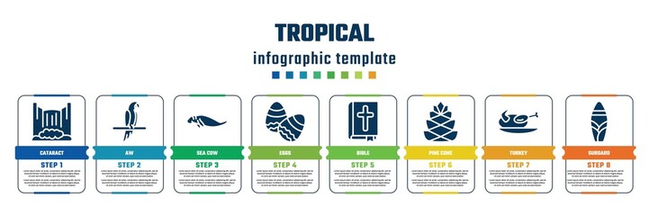 tropical concept infographic design template. included cataract, aw, sea cow, eggs, bible, pine cone, turkey, suroard icons and 8 steps or options.