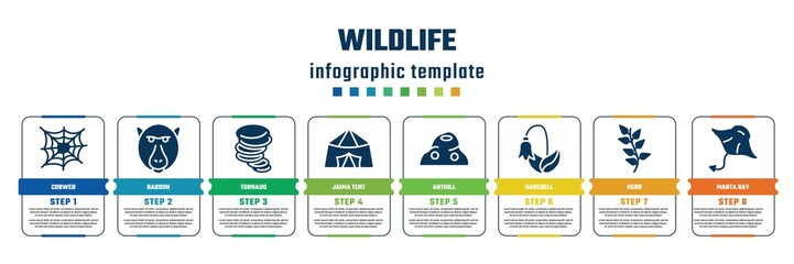 wildlife concept infographic design template. included cobweb, baboon, tornado, jaima tent, anthill, harebell, herb, manta ray icons and 8 steps or options.