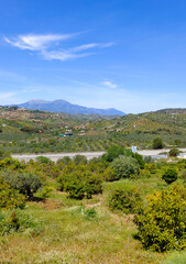 Fototapeta na wymiar Olive trees in Andalusia