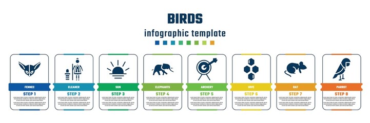 birds concept infographic design template. included fennec, cleaner, sun, elephants, archery, hive, rat, parrot icons and 8 steps or options. © VectorStockDesign