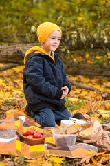 A little boy in a jacket and a yellow hat sits in an autumn park and waits for the start of a picnic