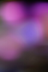 Blur Film Light Effect Overlay Stock Image