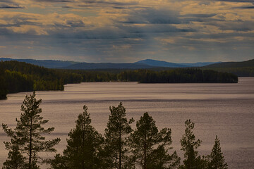 Sweden Forest and lakes 