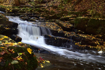 Kleiner Wasserfall mit Herbstlaub