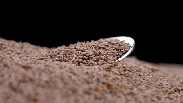 Psyllium Seeds or Ayurveda Autentico Isabgol on black with spoon. Rotation