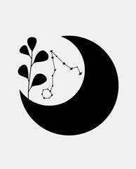 Pisces star constellation with moon and flower. Simple line vector art.