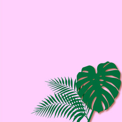 Fototapeta na wymiar pink background with green plants