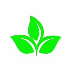 green sprout in the hand