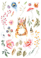 Watercolor woodland squirrel animal boho illustration set. Forest floral botanical elements berry,greenery, peony, anemone isolated. Create character, frame, card for wedding,baby shower,invite diy 