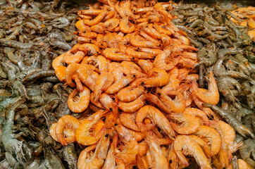 Shrimps on the showcase in the market . Pandalus Borealis, Parapenaeus longirostris