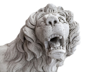 Obraz premium Marble lion head isolated on white background....