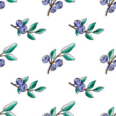 Vector watercolor pattern with blueberries. Blueberry berries with twigs in a hand-drawn style