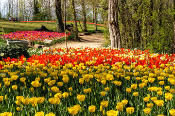 The beautiful garden of Pralormo Castle in springtime full of colorful tulips, Piedmont, Italy