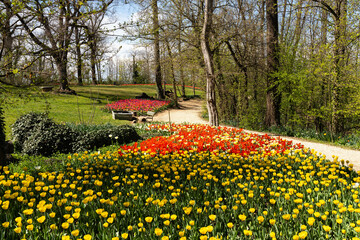 The beautiful garden of Pralormo Castle in springtime full of colorful tulips, Piedmont, Italy