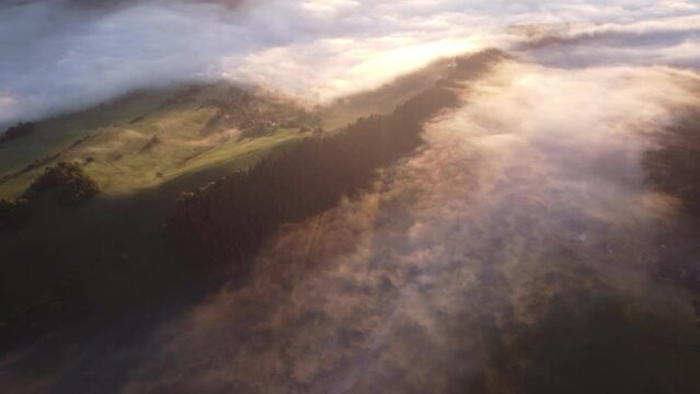 The fog is spreading in the spring landscape in the glow of the rising sun in the spring nature.