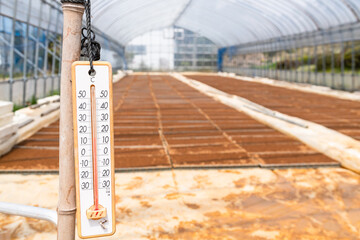 日本の稲作　ビニールハウスのプール育苗種まきと温度計