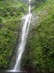 Fototapeta na wymiar Une grande cascade dans la luxuriante forêt tropicale
