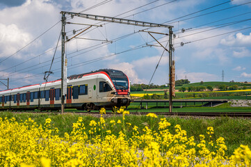 Train running through rapeseed field in spring. Red train, railroad with blue sky, yellow flowers...