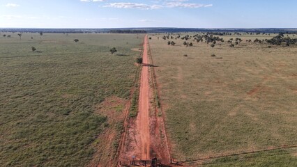 Bois Nelores, no curral. Gado na mangueira, gado nelore. Boi Nelore, Vaca Nelore, Garrote, Touro...