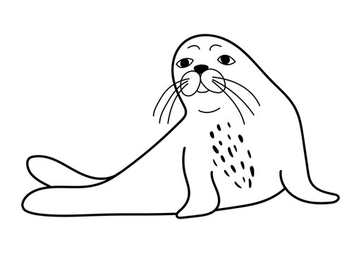 recommend clip art: The animal is a navy seal. Monochrome logo of a marine animal. Vector isolated hand drawing in doodle style. Contour linear isolated icon. The page of the coloring book.