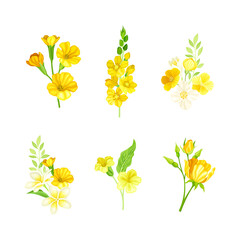 Bright Yellow Flower or Blossom with Petals and Green Leaf Vector Set