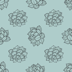 vector abstract seamless pattern with echeveria plant-03