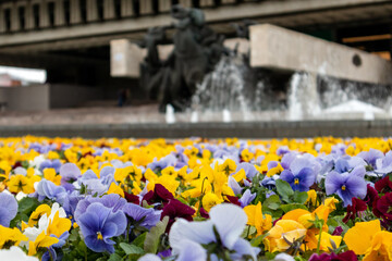 Fototapety na wymiar - Fototapeta24.pl