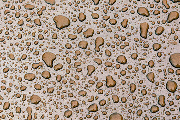 Water drops on a surface