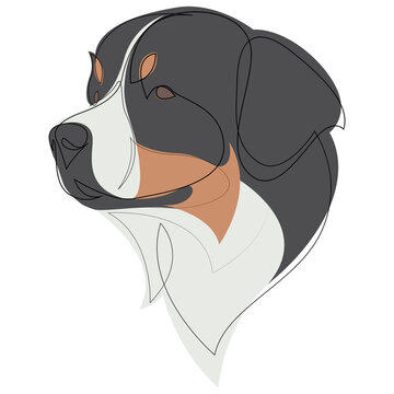 Continuous line Bernese Mountain Dog. Single line minimalist style dog vector illustration. Portrait