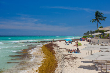 Lady in sexy string bikini sunbathing on a sandy beach with seaweeds in Playa del Carmen, Yukatan, Mexico