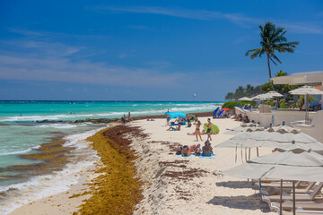 Lady in sexy string bikini sunbathing on a sandy beach with seaweeds in Playa del Carmen, Yukatan, Mexico