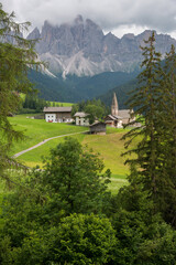 Abetos y Danta Maddalena en el Valle de Funes con las montañas de las Dolomitas de fondo en la región de Bolzano, Italia