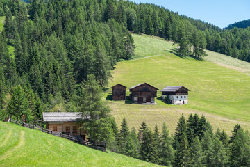 Bosques y granjas en el Valle de Funes de la provincia de Bolzano, Italia