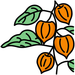 太い線で描かれたカットイラスト / 葉ぱ付き鬼灯