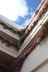 flores en el edificio