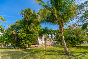 Obraz na płótnie Canvas Playacar Mayan ruins in the forest park in Playa del Carmen, Yucatan, Mexico