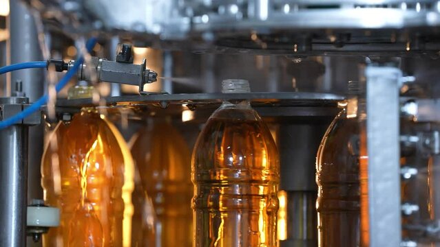 Production and bottling of beverages carbonated lemonade, soda or beer in plastic bottles on automatic conveyor on industrial plant. Food industry concept. Manufacturing of bottled drinks. 4k