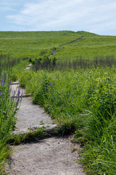 Konza Prairie Biological Station