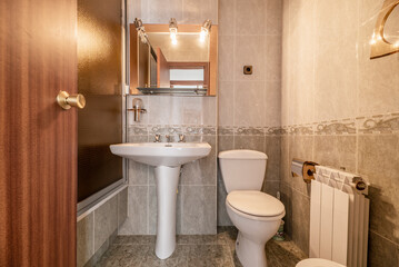 modern bathroom with frameless mirror on the wall, white porcelain fixtures and reddish wood front door