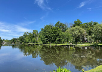 View on the lake surrounded by greenery, still water, reflections, summer	

