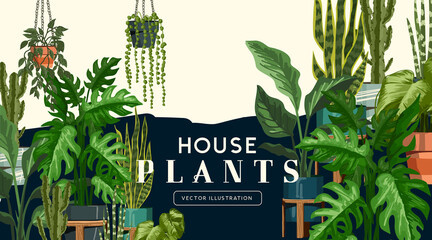 A large and varied selection of indoor home house plants with pots. Garden and wellbeing vector illustration © James Thew