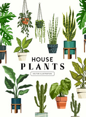 A varied collection of green indoor house plants. Botanical decoration vector illustration.