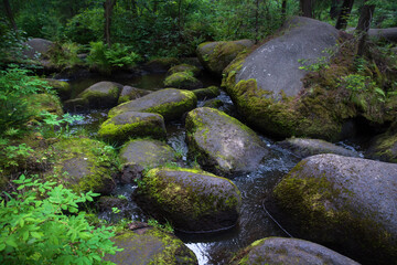 a mountain river with huge stones with green moss.wild forest of taiga.