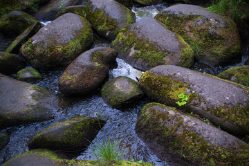 a mountain river with huge stones with green moss.wild forest of taiga.