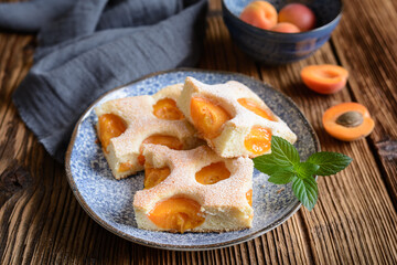 Homemade apricot sponge cake sprinkled with powdered sugar