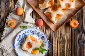 Homemade apricot sponge cake sprinkled with powdered sugar