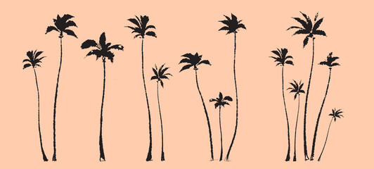 Palm trees. Textured ink brush drawing