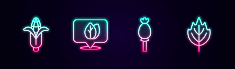 Set line Corn, Location with leaf, Opium poppy and Leaf. Glowing neon icon. Vector