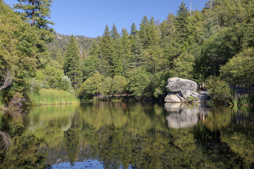 Fototapeta premium Lake Fulmor and the forest reflection on the water. Lake Fulmor is located in Riverside County near Idyllwild.
